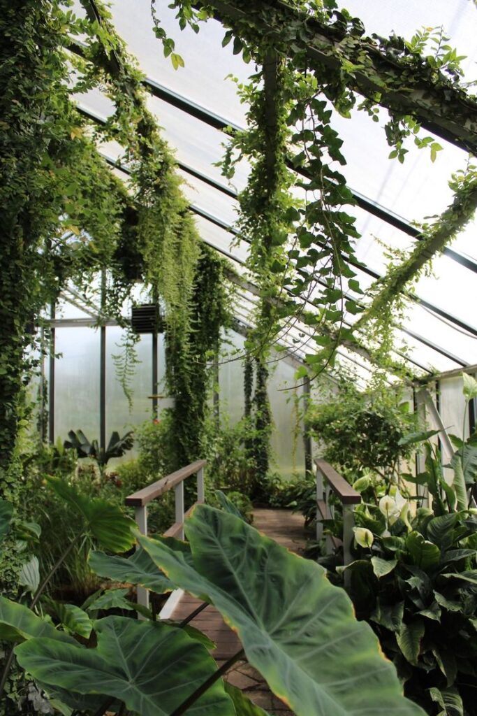 Post By @mygreenhousevibes · 1 Image 683x1024